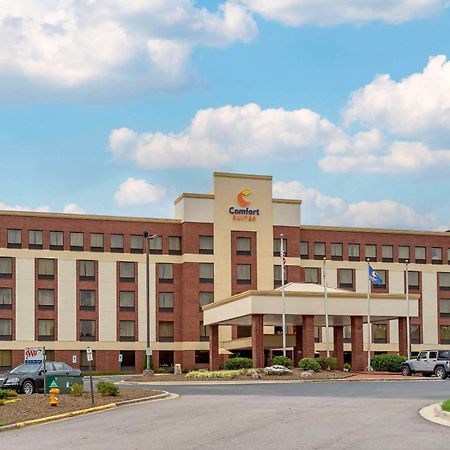 Comfort Suites Outlet Center Asheville Luaran gambar