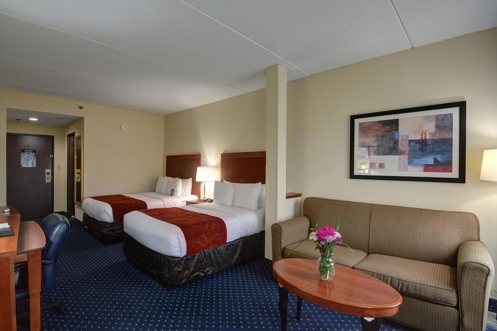 Comfort Suites Outlet Center Asheville Luaran gambar